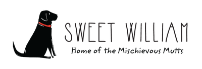 Sweet William Wholesale
