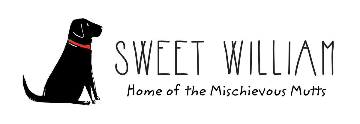 Sweet William Wholesale
